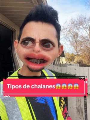 #chalanes #tipo de patrón#profesional #asi usted me dijo