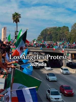 Hundreds gather around the 101 freeway in Downtown Los Angeles to protest ✊🏽🇲🇽🇭🇳🇬🇹🇨🇴🇵🇷🇺🇸 #LosAngeles #DowntownLA #Protest #Immigrant #LA #ParaTi #FYP #fypシ #LosAngelesProtest 