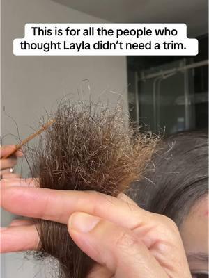 Blowing out your hair, really magnifies those split ends! #momsandaughters #MomsofTikTok #twintalk #curlyhair #curlyhairproducts 