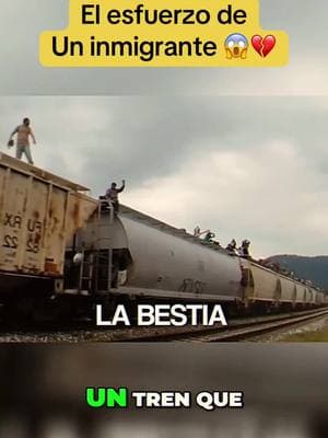 El tren la Bestia lleva inmigrantes del sur de Mexico al Sur de Los Estados Unidos. Muchos inmigrantes en Los Estados Unidos tienen miedo de ser deportados. #inmigrantes #usa🇺🇸 #inmigration #deportation #donaldtrump #ice #protests #americandream #labestia #tren 