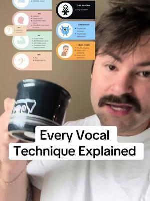 An (Almost) Complete Summary of vocal techniques! A much more educational video, which I know are slower, but I love making them. Lmk what you’re working on in your own vocal training!  . #voice #vocals #voicecoach #vocalcoach #singing #singinglessons #singingtips #vocalscience #chestvoice #headvoice #falsetto #vocalfry #vocalwhistle #mixvoice #falsecord #throatsinging #arytenoid #distortion #fryscream 