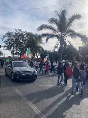 Jóvenes estudiantes y padres salen a las calles en Marchas contra las medidas de impuestas por trump #hermanosmexicanos #mexicanoschingones #mexico🇲🇽 #migranteslatinos🇺🇲🇺🇲 #mexicoamericano #mexicanosenusa #mexican #podermexicano🇲🇽 #mexicantiktok 