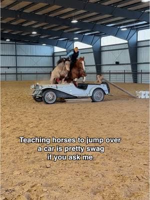 Teaching these incredible horses to jump over a car 🤠🐴💥!  This challenge was a blast, and I can already picture Piper Yule and her crew tearing it up at future rodeos and events🔥  #NextLevelRodeo #HorsePower #RodeoReady #rodeotime #horsejumping #horse #horsetraining #horsetrainer #horsemanship #horseshow #rodeo #rodeostyle #rodeogirls #horseriding #horsejumper #swag #horsesoftiktok #tiktokhorses 