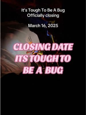 Closing date for It’s Tough To Be A Bug at Animal Kingdom has been released! It will close March 16, 2025. Make sure to get your last ride in while you can! #itstoughtobeabug #rideclosure #disneyworld #animalkingdom #animalkingdomdisney #disneypark #disneyparks 