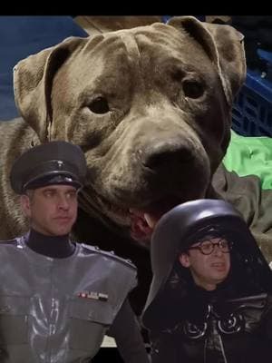 #Meme #MemeCut #CapCut #bluenose #tysonjames #pitbullsoftiktok 