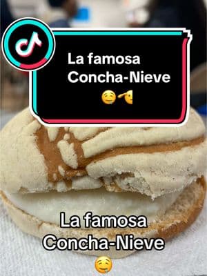 La famosa Concha-Nieve 🤤🫡 #nievescortes #unneveroennuevayork #heladodecoco #eldelasnievesvirales #eldelasnievesdeknickerbocker #saboramexicoennuevayork #nievesartesanalesennuevayork #nievesdegarrafaennuevayork #fidelcortesjr #laplacitadeknickerbocker #bushwickbrooklyn #parati #fyp #elherederonevero 