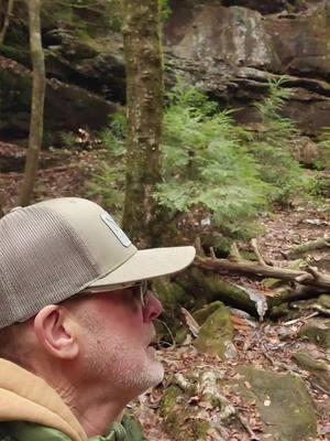 And he was right! That man was always right.  It was a very cold day at Mize Mills Falls in the Sipsey Wilderness.  🥶❄️👍😎💯 #granddaddy #alwaysright #neverwrong #goodtimes #memories #chasingwaterfalls #explore #adventure #waterfall #hike #nature #LifeIsGood #cold #snow #feburary 