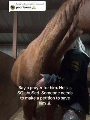 Replying to @Geebrosky If you make the petition i’ll sign it! If you know anything about horses you would understand what the licking and chewing means when i start petting him right? 😇 Please get off my page 🤣 #abuseawareness #animalabusiveneedstostop #horses #rodeo #barrelracer #bronc #misstreated #iactuallydocussalittle #byebye 