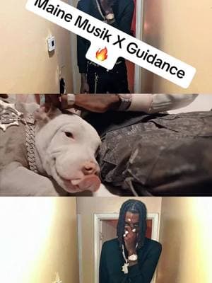 Maine Musik - Guidance #mainemusik #guidance #newmusic #musicrecommendations #raptok #hiphop #batonrouge #lousiana #febraury #february2025 #2025 #trending #viral #fyp #fypシ 