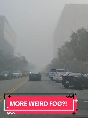 more FOG SHOWED UP IN SW FL. #fogtok #fyp #weather #news #America #MUSK #opinions  #fypシ @The Weather Channel #beeftallow #SKINCARE 