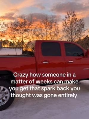 Can we just take a moment for that sunset #afterhourspaintandcustoms #duramax #lmlduramax #relatable #