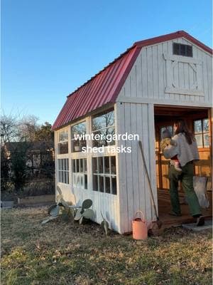 my garden shed is my happy place 🫶 this is my Jan/feb winter tasks as your ambitious and amateur garden girlie. kinda want to start a series called “making a cut flower garden to pay off my student debt” but is that really where I want my money to go?! NO.  Also? I was never planning on selling them.  see you tomorrow! #cutflowers #gardenshed #backyardflowers #flowergardening #flowerfarm #flowerfarming #cutflowergarden 