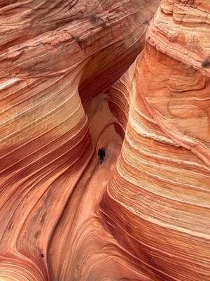 The most perfect day at one of the most iconic locations in the desert ✨ #thewave #arizona #getoutside #arizonalife 