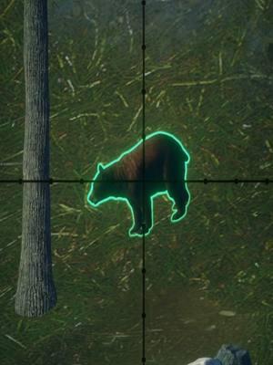 2 Awesome Rare Bears In 1 Stream During The Great One Grind! The Hunter Call of the wild #thehunter #thehuntercallofthewild #thehuntercotw #callofthewild #cotwclips #cotw #cotwcontent #huntercotw #huntinggame #callofthewildclips #callofthewildcontent #fyp #videogames #cotwrares