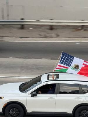 Injustice to one is injustice to all. 🇲🇽🇲🇽🇲🇽🇲🇽 VIVA LA RAZA #ABOLISHICE #ThisisAmerica #mexico #mexican #mexicana #wearethepeople #immigrantsmakeamericagreat #fyp #protest #LA #LosAngeles 