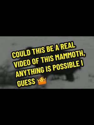 COULD THIS BE A REAL VIDEO OF THIS MAMMOTH, ANYTHING IS POSSIBLE I GUESS 🤷 Mammoths were an extinct group of elephants that lived from the late Miocene epoch until around 4,000 years ago. Their fossils have been found on every continent except Australia and South America. The word "mammoth" can also be used as an adjective to describe something that is very large. Size and habitat: Adult male woolly mammoths were about 10 feet tall at the shoulder and could weigh up to 13,200 pounds, similar in size to modern African elephants.  #mammoth #elephant #extinctanimals #mammoths #fyp #animals #anythingispossible  { AND NO... THERE WASN'T ANY INFO ON THE LOCATION OR TIME...IF ANY INFO COMES UP... I'LL UPDATE}