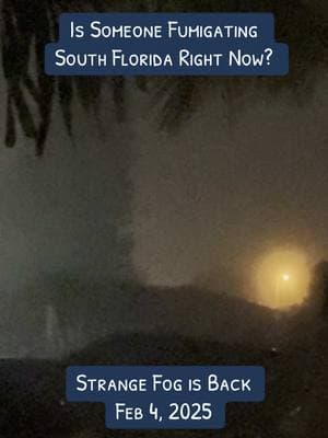 Strange Fog is back again in Florida and apparently all around the world now too. #fog #smartdust #foggy #silenthill #strangesounds #southflorida 