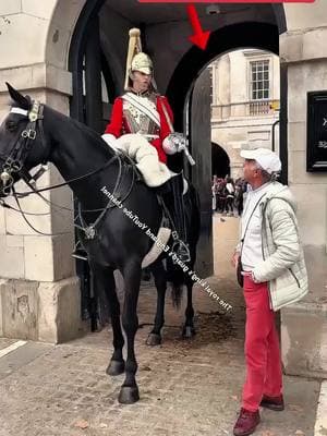 watch the end #kingguardhorse #kingguard #royalguard 