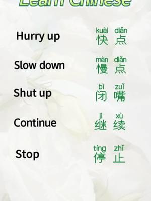 Let’s learn Chinese together #mandarina #chinese #learnchinese #learninglanguage 