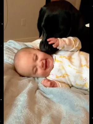 Love between baby and dog #baby #babiesoftiktok #dog #babydog #happy #moment #reaction #babylaugh #adorable #haha #adorable #fyp #foryoupage 