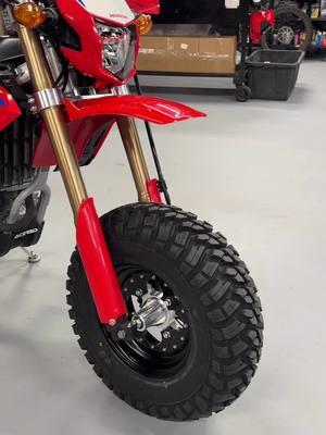 Adventure - Fat Tire CRF300L 🤑 #honda #crf300l #dirtbike #motorcycle #moto #offroad #dualsport #bvcbigwheels #riding #foryou 