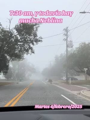 Seguimos con Mucha Neblina 🌫️, #neblina #febrero2025 #viral #amanecerbonito 