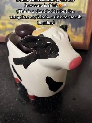 Seriously though how could you not think is cow isn’t cute 🥹🐮🐄  #fyp #fypシ #fypシ゚viral🖤tiktok☆♡ #cowsoftiktok #cows #western #westernkitchen #dollargeneralfinds #cattle  #cattlekitchen #ideas #sendit #howcute #westernredo #makeitgoviral 