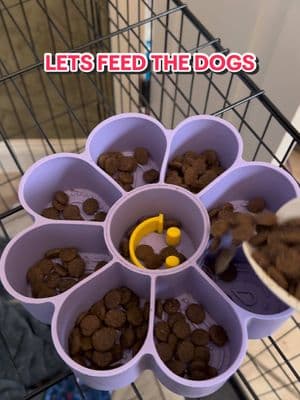 #dogtreat #lillybeanmoon #gsd #viral #fyp #feedmydogs #kibble #kibblefeddogs #kibbletoppers #nativepet #pug #kibble #dogfood @Native Pet 