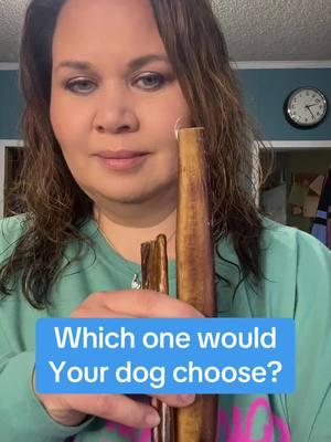 Which one would your dog choose?  #bullystick #mightypaw #dogtreats #dogbone #dogchew #hkbdesign 