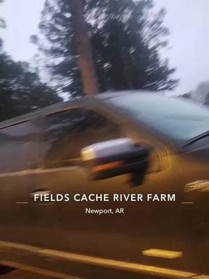 #cacheriver #870 #arkansas #northeastarkansas #flooding #flood #logjam #bandedgear #washout #mud #water #watermaster #haveariceday #staybanded #ford #newholland #backhoe #levee #sandbag #ag #agriculture #ducks #waterfowl #bandedcampshoes #banded #avery #combatwaterfowl #f #fyp #foryou #foryoupage @Amanda Self @ailey 