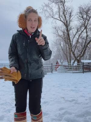 TikTok is a bully #itsamandalee #redhatcowgirl #cutewinterboots #clydesdales #winterwear #stallion 