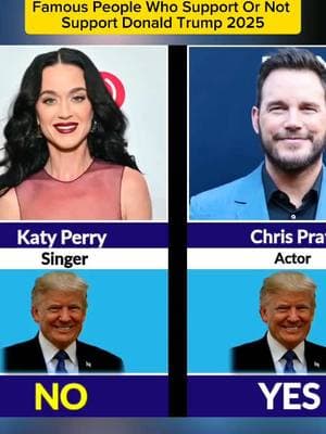 Comparison: Famous people Who support or not support DonaldTrump 2025. #famous #people #support #donaldtrump #dontunderreviewmyvideo #comparison #viralcomparison1 #explore #fyp 