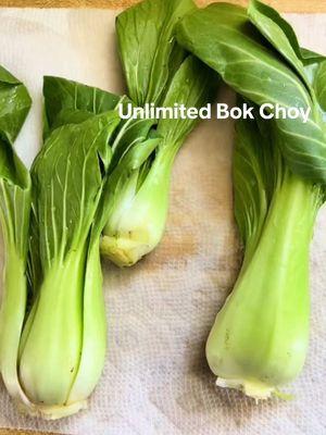 This is also a fun project to do with kids in the winter! If you’re looking for the fastest results, go with a Scallions and Celery. My previous five videos are all from my scrap garden series.🥰💚 ##OptimisticKitchen##gardening##happyeating##happygrowing##growwithme##makeyourkitchenyourhappyplace##Healthy##ReduceFoodWaste##Garden##GrowFood##Thrive##growyourfood ##victorygarden##ScrapGarden##GrowFromScraps##growyourscraps##bokchoyhack##budgetfriendly##foodbudget##series##kitchenscrapgarden##gardenblogger##containervegetablegarden##creatorsearchinsights 