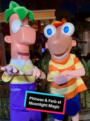 #distok #disneytok #disneytiktok #disneytiktoks #phineasandferb #perrytheplatypus #phineasandferbmemes #phineas #ferb #doofenshmirtz #disneychannel #dadjokes #dadjoke #thesuitelifeofzackandcody #ashleytisdale #drdoofenshmirtz #candace #perryplatypus #phineasandferbedit #kimpossible #ducktales #darkwingduck #donaldduck #mickeymouse #winniethepooh #liloandstitch #stitch #disneylandafterdark #moonlightmagic #disneyparks #disneylife #disneylove #disneymagic