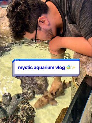 date at the @Mystic Aquarium 🐠✨ #mysticaquarium #mysticct #aquarium #aquariumdate #ValentinesDay #valentinesdaydate #dateday #dateideas 