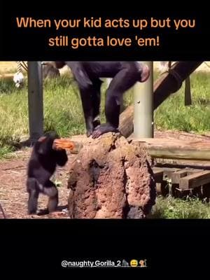 When your kid acts up but you still gotta love 'em! #GorillaParenting #MischiefManaged #MomLife #WildLove 