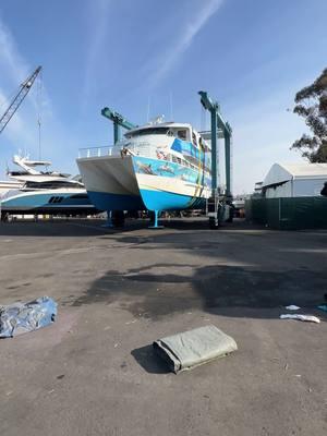 Last week, our large power catamaran, Hoku Nai’a, was hauled out for its annual hull inspection and a fresh coat of bottom paint. Maneuvering a vessel of this size is no small task, and we’re grateful to the experts at Dana Point Shipyard for handling it with such skill.  -MS • • • • 📸 Matt Stumpf • • • • #boat #boatlife #boattrip #boating #boatride #boatcruise #boatcharter #catamaran #optoutside #creatingmemories #funthingstodo #awesomeearth #naturesbeauty #natureaddict #naturephoto #nature_brilliance #naturephotography #welivetoexplore #whalewatching #dolphinwatching #ecotourism #oceanlife #connectwithnature @mydanapoint @danapointharbor @DanaPointChamber @visitcalifornia #socal #danapoint #visitcalifornia #californiaadventure #californiadreaming