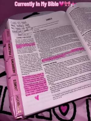 Love My Bible I Been Setting It Up To Make It Easy To Access Scriptures And Highlighting Everything If You Haven’t Tried The NIV Version You Should💗🎀💒 #Bible #BibleStudy #Scripture #NivBible #Bible #PinkBible #GirlReadYourBible #Fyp 