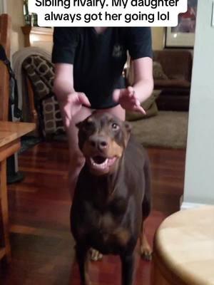 This video always makes me laugh because knowing Ruby and how much she loved my daughter it’s funny to see her be so competitive with playing. #rubytuesday #doberman #dobermann #rubydooby_do #dogsofinstagram 