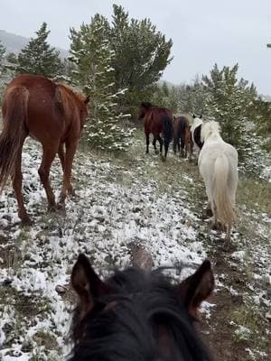 The Horse Drive doesn't stop for a little winter weather—it only makes the ride more unforgettable. Would you ride through the snow for the adventure of a lifetime? #duderanch #guestranch #horsedrive #horsebackadventure