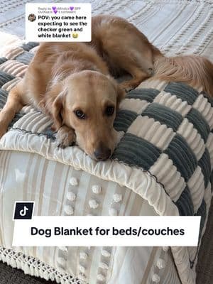 Replying to @💜xMindyx💜 BPF OutKasts 💜 here’s the link for the checkered pet blanket! ♥️🐾 #dogblanket #dogmat #couchprotector #petblanket #dogmom 