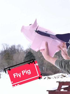 How to take the pick out for a quick test flight, which didn’t end how we expected too. Who knew pigs had a hard time flying #flitetest #diyairplane #aviation #rc #pig #rocketpig #flyingpig 