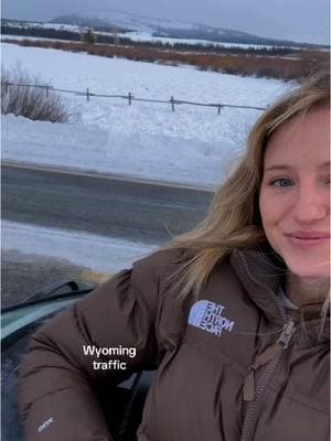 How cute are they!! Def don’t be that person that gets out of their car though, that’s embarrassing 🙅🏼‍♀️ #wildlifeencounters #wildlifesighting #bison #wyoming #wyominglife #jacksonhole #grandtetonnationalpark #gtnp #americanwest #westernamerica 