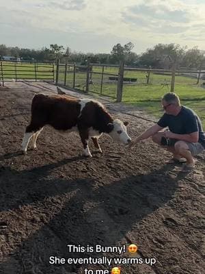 We loved our @HarvestHosts !! #harvesthosts #florida #farm #babycow #farmanimals #bunny #rvlife #rvliving #boondocking #fyp #beefarm 