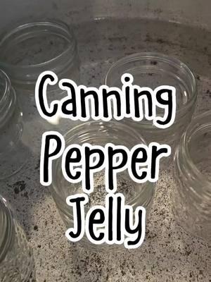 Canning Pepper Jelly! #canning #pepperjelly #jelly #homestead #prepping #waterbathcanning #canningtiktok #homemadejelly #jars #masonjars #homemadegifts 