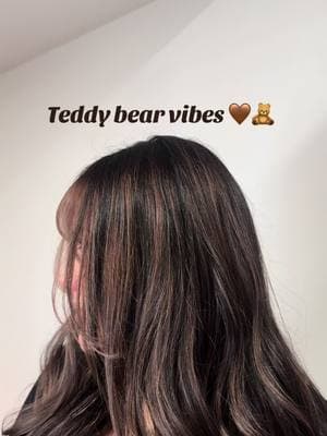 Teddy bear vibes 🤎🧸 #azhairstylist#hairstylistsoftiktok#phx#phxhairstylist#phxhairsalon#cutehair#cutecolor#dimensionalbrunette#brunettegirl#balayagehighlights#rootmeltbalayage#redken#redkenshadeseq 