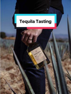 What do you wear to a tequila distillery and keep it fashionable?? #cazcanes #tequila #tequilatasting 