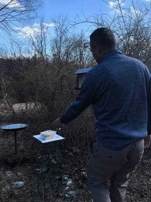 Filling up the bird feeder#bird #birdfeeder #birdfood 