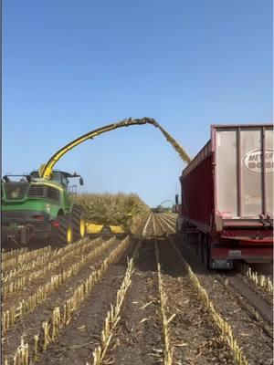 Two John Deere 9900i Self Propelled Forage Harvesters chopping corn silage near Fair Oaks Indiana. #farmhandmike #cornsilage #farm #johndeere 