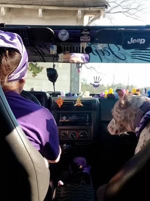 Beautiful day for the top to be flipped back & windows down, just me & my jeep dog. Yes I've got hands free camera equipment, my hands are on the steering wheel & I'm focused on the road💜🍇🥜✌🏻 #foryou #foryoupage #fy #fyp #cameraequipment #safetyfirst #jeepride #jeepdog #topflippedback #windowsdown #jeepvibes #jeeplove #jeepfreak #jeepwave #jeepeverything #jeepjeepjeep #justmeandmyjeep #itsajeepthing #jeeplife #jeepwrangler #jeeptj #grapenutt #liftedjeep #beepbeeppurplejeep #jeepgal #purplejeepgal #jeepgirlsdoitbetter #jeepsoftiktok #jeeptok #jeeptiktok #tiktokcreator 